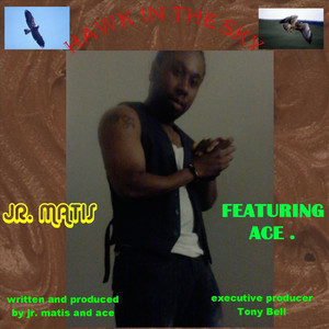Hawk in the Sky(Feat. Ace)