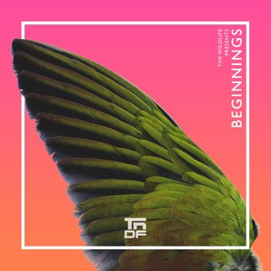 Coffee (Original Mix)