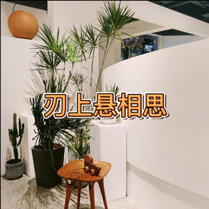 棒棒棒 (必行版)