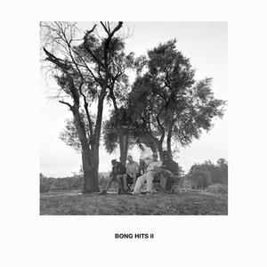 Bong Hits II (Explicit)