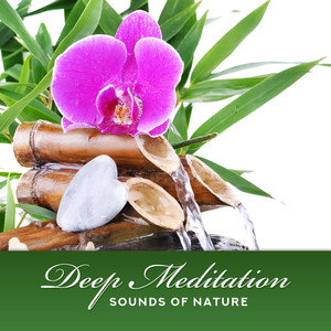 Deep Meditation: Sounds of Nature, Relaxation, Morning Yoga, Spa, Sleep, Study