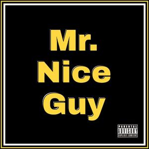 Mr. Nice Guy (Explicit)