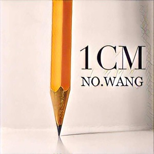 1CM