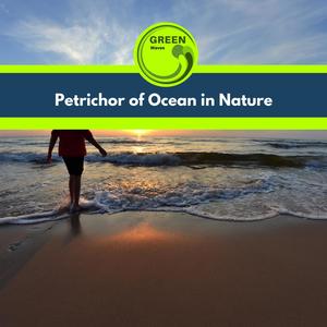 Gliding Birds over the Ocean