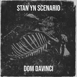 Stan Yn Scenario (Explicit)