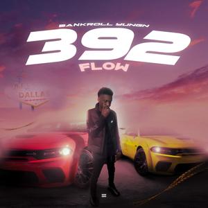 392 Flow (Explicit)