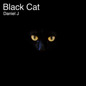 Black Cat