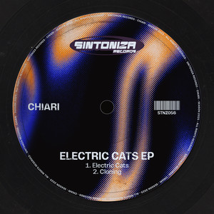 Electric Cats (Original Mix)
