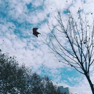 bluebubbleblue - 麦田里的守望者 The Catcher in the Rye