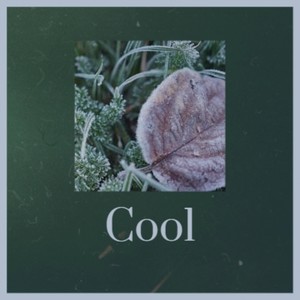 Who At My Door Is Standing