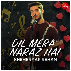 Dil Mera Naraz Hai