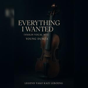 Everything i wanted violin vocal mix (feat. Dumza) [Special Version]