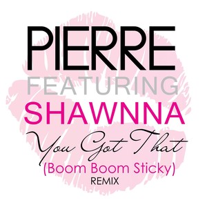 You Got That (Boom Boom Sticky) [Remix] [feat. Shawnna]