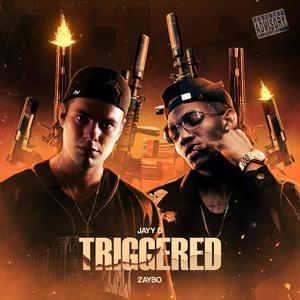 Triggered (feat. Zaybo) [Explicit]