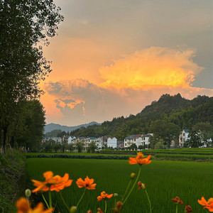 JORN Vol.03 (有没有兑现)