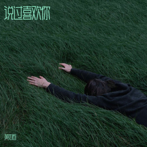 说过喜欢你