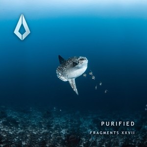 Voyage (Extended Mix)