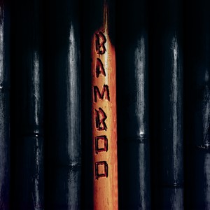 Bamboo (Explicit)