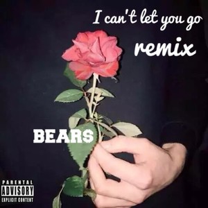 I can't let you go (眼鼻嘴remix)