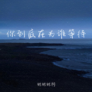 你到底在为谁等待