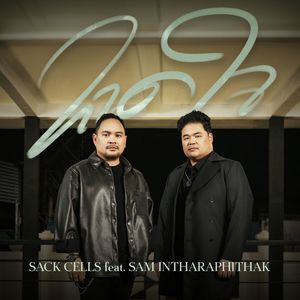 sack cells - ຂາດໃຈ hook 2