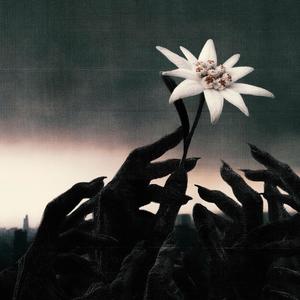 TAKEO (feat. HOUSMATIKEE) (Explicit)