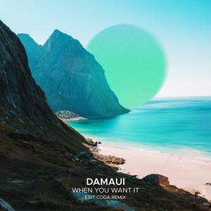 When You Want It (Exit Coda Extended Remix)