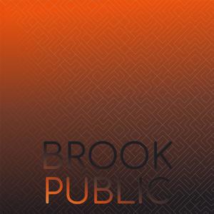 Brook Public