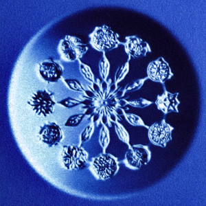 Калейдоскоп (Explicit)