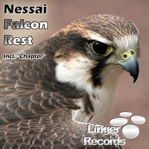 Falcon Rest