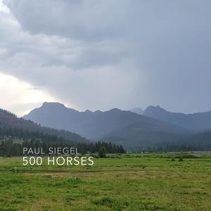 500 Horses