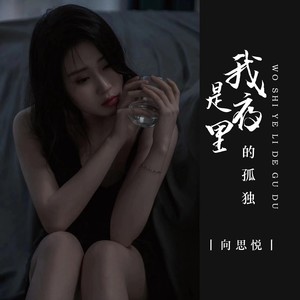 向思悦 - 我是夜里的孤独