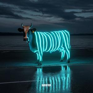 S H A L L (Embraced Moment Remix)