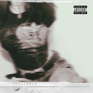 nechutně odporná (feat. Panter North & m4thezz) (Explicit)