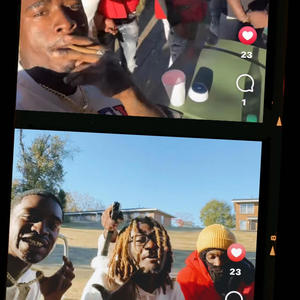 Wilding (feat. Fullysnake guy) (Explicit)