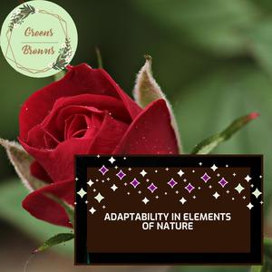 Adaptability in Elements of Nature