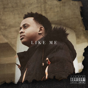 Like Me (Explicit)