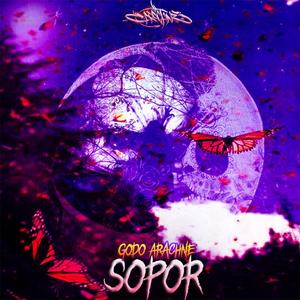 Sopor(feat. instrumentelista)