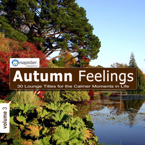 Napster Pres. Autumn Feelings 3 - 29 Lounge titles for the calmer moments in life