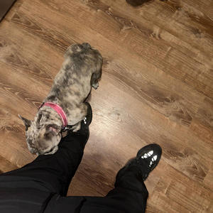 Havin my way (Explicit)