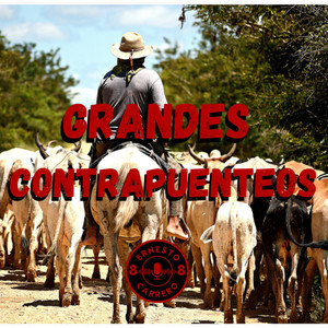 Que Atajo Pero No Puyo