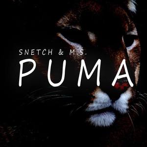 PUMA (Original Mix)