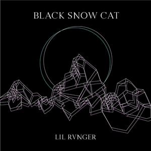 Black Snow Cat (Explicit)