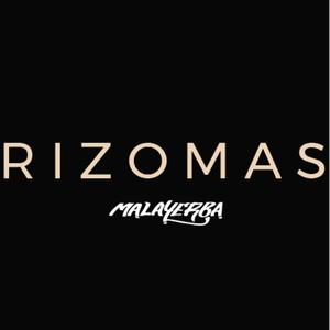 Rizomas (Explicit)