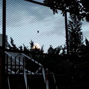 Quiero Olvidarte (feat. Kodda)