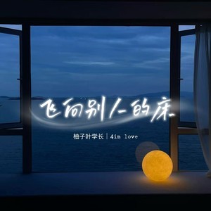 飞向别人的床 (2026版)