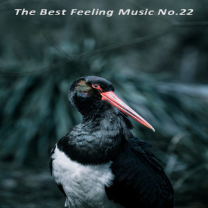 The Best Feeling Music No.22