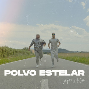 Polvo Estelar