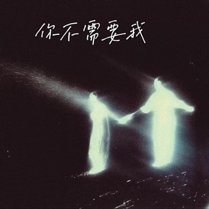 你不需要我