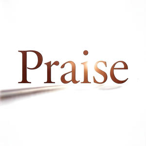 Praise (feat. VIK40, Luh Shiesty & User 5.5.5.) (Explicit)